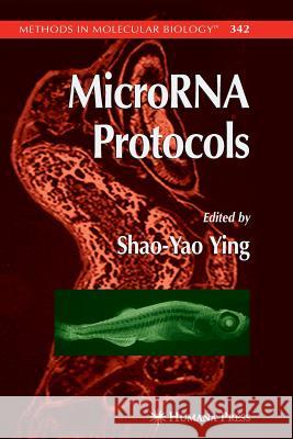 Microrna Protocols Ying, Shao-Yao 9781617376566 Springer - książka