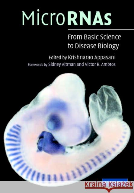 MicroRNAs: From Basic Science to Disease Biology Sidney  Altman, Victor R. Ambros, Krishnarao Appasani 9780521865982 Cambridge University Press - książka