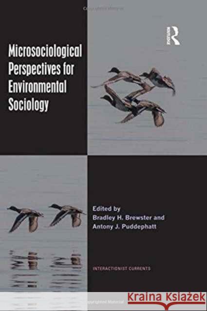 Microsociological Perspectives for Environmental Sociology Bradley H. Brewster Antony Puddephatt 9781472462589 Routledge - książka