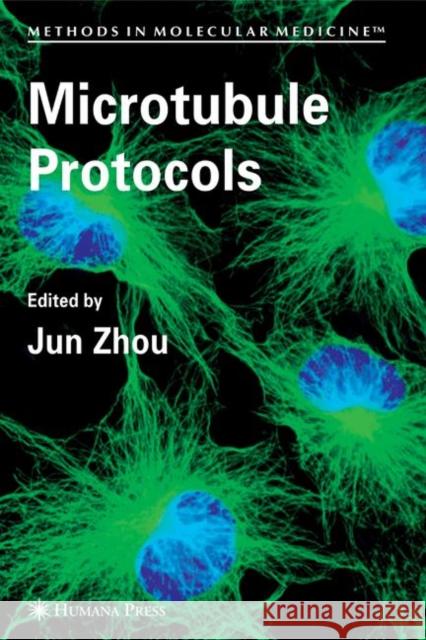 Microtubule Protocols Jun Zhou 9781617376917 Springer - książka