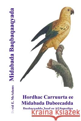 Midabada Baqbaqaaqyada: Hordhac Carruurta ee Midabada Dabeecadda David E. McAdams Bouquet 9781632706379 Life Is a Story Problem LLC - książka