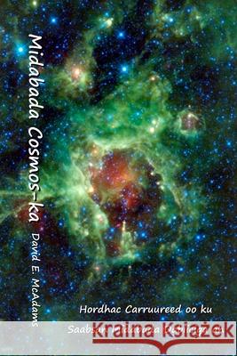 Midabada Cosmos-ka: Midabada Dabeecadda David E. McAdams 9781632707758 Life Is a Story Problem LLC - książka