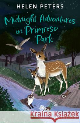 Midnight Adventures in Primrose Park Helen Peters 9781800902572 Barrington Stoke - książka