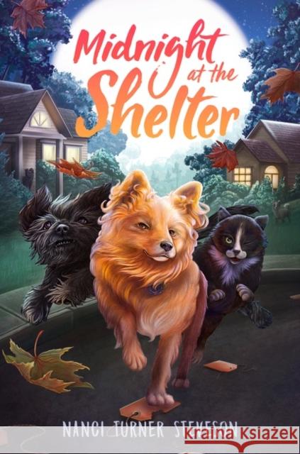 Midnight at the Shelter Nanci Turner Steveson 9780062673213 HarperCollins Publishers Inc - książka