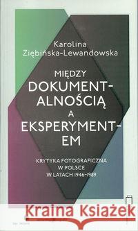 Między dokumentalnością a eksperymentem Ziębińska-Lewandowska Karolina 9788364443039 Fundacja Bęc Zmiana - książka