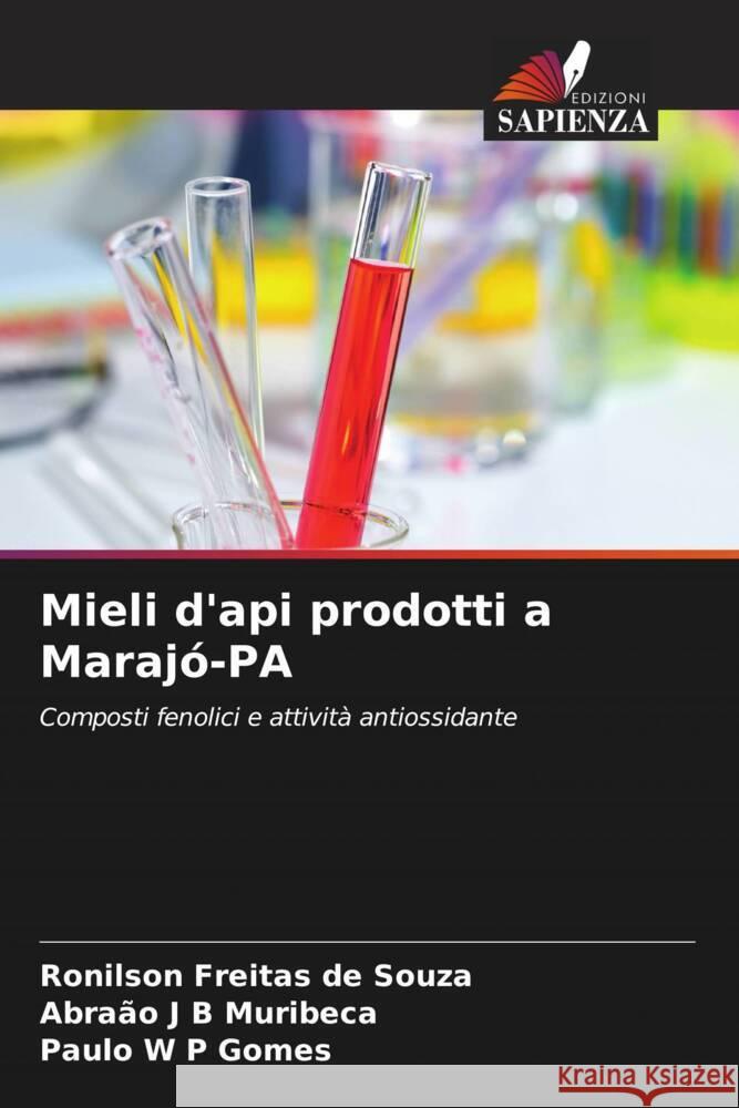 Mieli d'api prodotti a Marajó-PA de Souza, Ronilson Freitas, Muribeca, Abraão J B, Gomes, Paulo W P 9786208315733 Edizioni Sapienza - książka