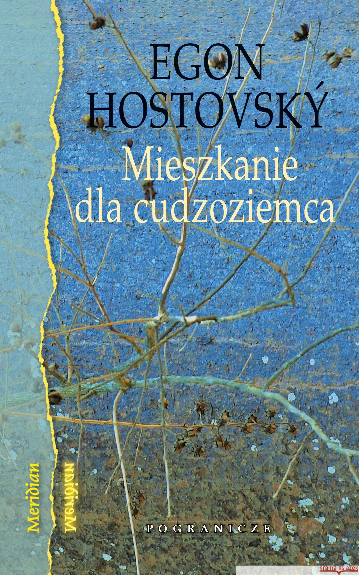 Mieszkanie dla cudzoziemca HOSTOVSKY EGON 9788366143326 POGRANICZE - książka