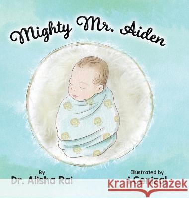 Mighty Mr. Aiden Alisha Rai, I Cenizal 9780228883814 Tellwell Talent - książka