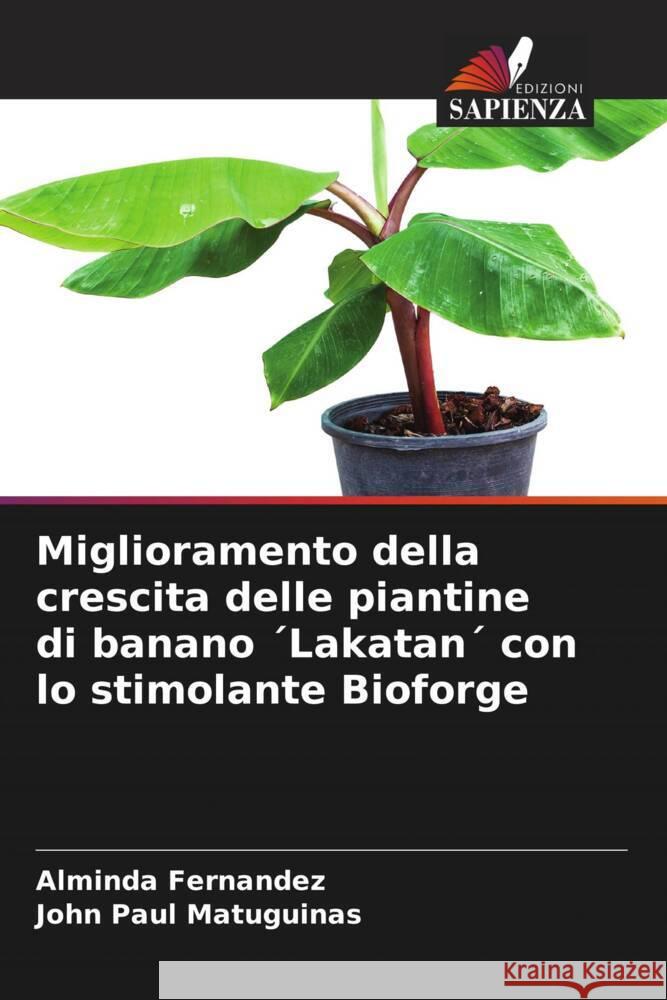 Miglioramento della crescita delle piantine di banano ´Lakatan´ con lo stimolante Bioforge Fernandez, Alminda, Matuguinas, John Paul 9786208221898 Edizioni Sapienza - książka