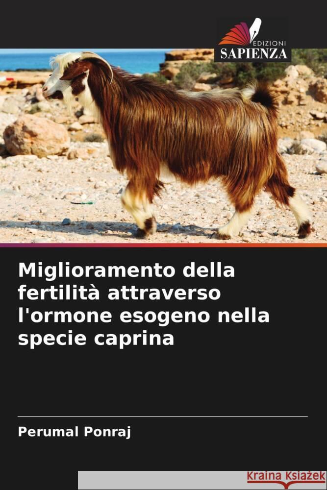 Miglioramento della fertilita attraverso l'ormone esogeno nella specie caprina Perumal Ponraj   9786206038535 Edizioni Sapienza - książka