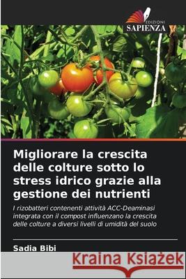 Migliorare la crescita delle colture sotto lo stress idrico grazie alla gestione dei nutrienti Sadia Bibi 9786202956154 Edizioni Sapienza - książka