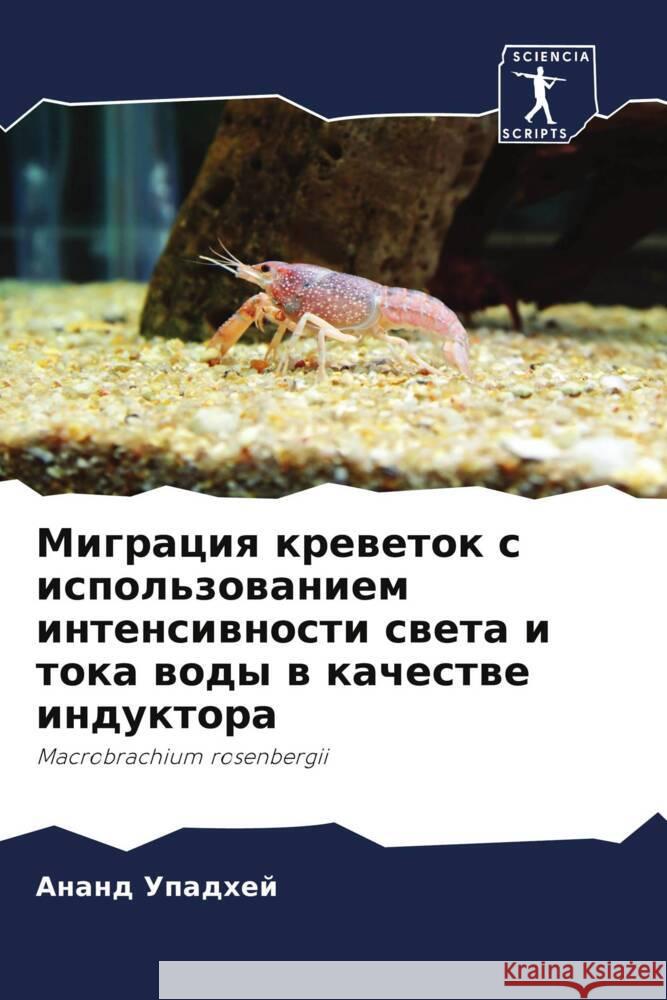 Migraciq krewetok s ispol'zowaniem intensiwnosti sweta i toka wody w kachestwe induktora Upadhej, Anand 9786200861924 Sciencia Scripts - książka