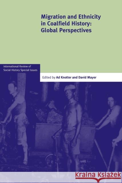 Migration and Ethnicity in Coalfield History: Global Perspectives Ad Knotter David Mayer  9781316601303 Cambridge University Press - książka