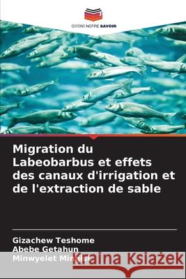Migration du Labeobarbus et effets des canaux d'irrigation et de l'extraction de sable Gizachew Teshome Abebe Getahun Minwyelet Mingist 9786208425883 Editions Notre Savoir - książka