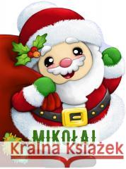 Mikołaj Krzysztof Żywczak, Blanka Olasik 9788382744927 Dragon - książka