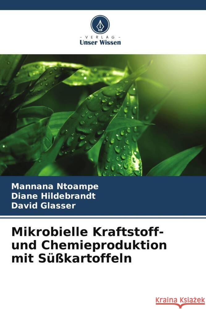 Mikrobielle Kraftstoff- und Chemieproduktion mit Süßkartoffeln Ntoampe, Mannana, Hildebrandt, Diane, Glasser, David 9786205200247 Verlag Unser Wissen - książka