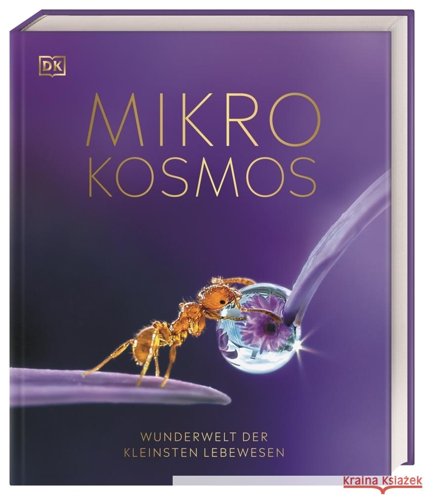 Mikrokosmos - Wunderwelt der kleinsten Lebewesen Harvey, Derek, Wood, Dr. Elizabeth, Scott, Michael 9783831044566 Dorling Kindersley Verlag - książka