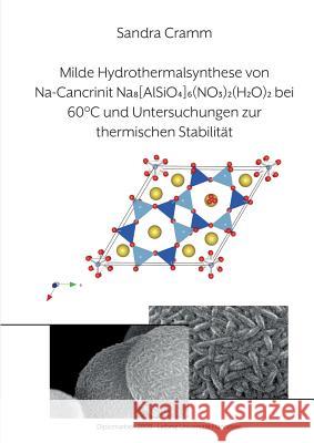 Milde Hydrothermalsynthese von Na-Cancrinit Na8[AlSiO4]6(NO3)2(H2O)4 bei 60 °C und Untersuchungen zur thermischen Stabilität: Diplomarbeit 2009 Cramm, Sandra 9783744800952 Books on Demand - książka