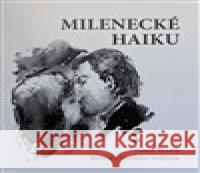Milenecké haiku Stanislav Sedláček 9788073542627 Šimon Ryšavý - książka