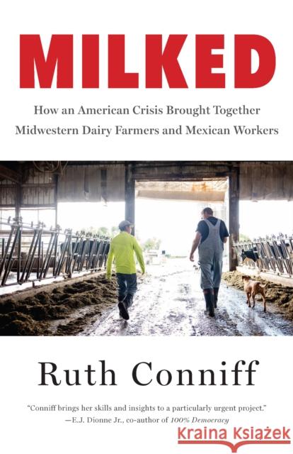 Milked: How an American Crisis Brought Together Midwestern Dairy Farmers and Mexican Workers Conniff, Ruth 9781620976371 New Press - książka