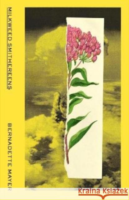 Milkweed Smithereens Bernadette Mayer 9780811229227 New Directions Publishing Corporation - książka