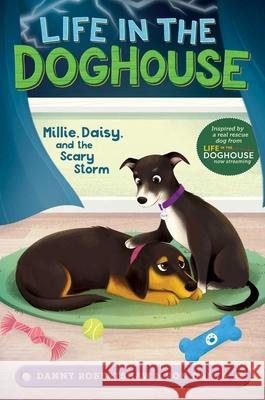 Millie, Daisy, and the Scary Storm Danny Robertshaw Ron Danta Laura Catrinella 9781534482678 Aladdin Paperbacks - książka