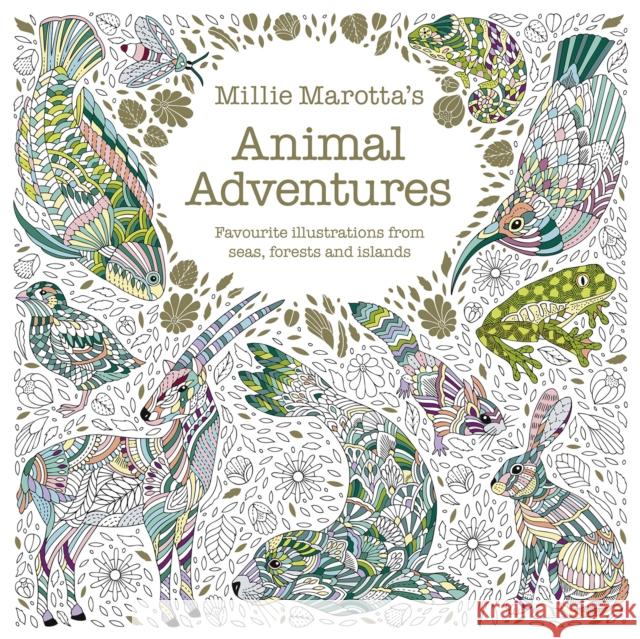 Millie Marotta's Animal Adventures: Favourite illustrations from seas, forests and islands Millie Marotta 9781849948432 Batsford - książka