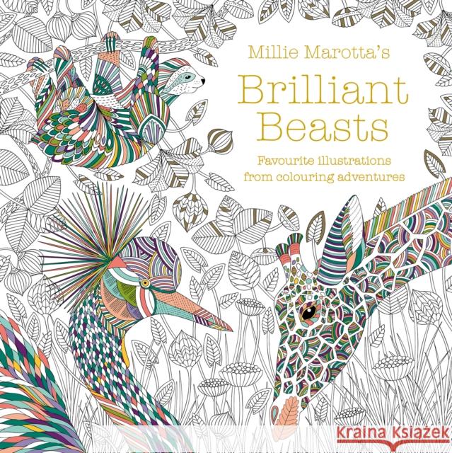 Millie Marotta's Brilliant Beasts: A collection for colouring adventures Millie Marotta 9781849946087 Batsford Ltd - książka