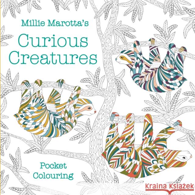 Millie Marotta's Curious Creatures Pocket Colouring Millie Marotta 9781849946247 Batsford - książka