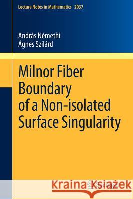 Milnor Fiber Boundary of a Non-Isolated Surface Singularity Némethi, András 9783642236464 Springer - książka