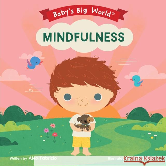 Mindfulness Alex Fabrizio Hilli Kushnir 9781946000187 Little Hero - książka