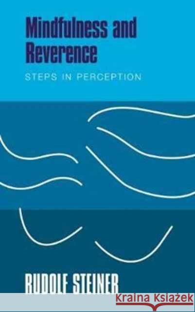 Mindfulness and Reverence: Steps in Perception Rudolf Steiner 9781855845367 Rudolf Steiner Press - książka