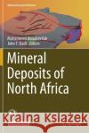 Mineral Deposits of North Africa Mohammed Bouabdellah John F. Slack 9783319317311 Springer