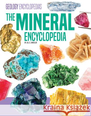 Mineral Encyclopedia Jill C. Wheeler 9781098298906 Encyclopedias - książka