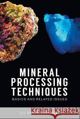 Mineral Processing Techniques Basics and Related Issues G. S. Ramakrishna Rao 9789381239544 Zorba Books - książka