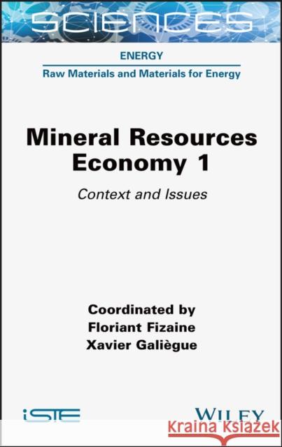 Mineral Resources Economy 1: Context and Issues Fizaine, Floriant 9781789450248 Wiley-Iste - książka