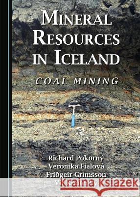 Mineral Resources in Iceland: Coal Mining Richard Pokorny Veronika Fialova Fridgeir Grimsson 9781527567177 Cambridge Scholars Publishing - książka