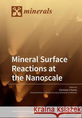 Mineral Surface Reactions at the Nanoscale Christine V. Putnis 9783038978961 Mdpi AG - książka