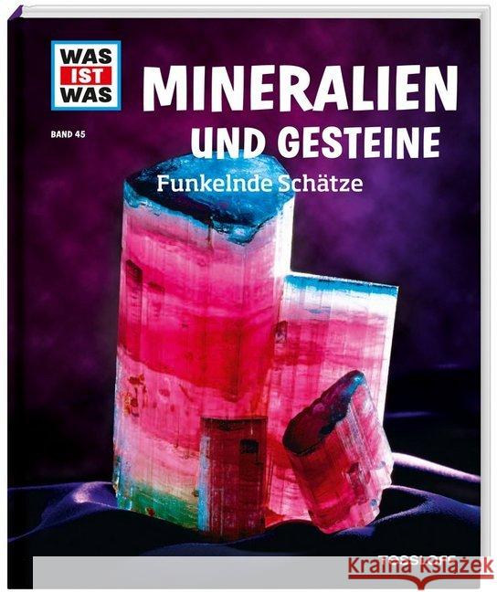 Mineralien und Gesteine : Funkelnde Schätze Finan, Karin 9783788620363 Tessloff - książka