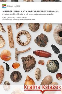 Mineralised Plant and Invertebrate Remains: A guide to the identification of calcium phosphate replaced remains Historic England 9781800341203 Liverpool University Press - książka