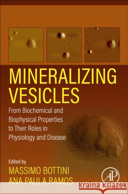 Mineralizing Vesicles: From Biochemical and Biophysical Properties to Their Roles in Physiology and Disease Massimo Bottini Jose Luis Millan 9780323991582 Academic Press - książka