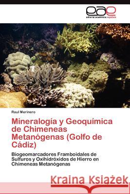 Mineralogía y Geoquímica de Chimeneas Metanógenas (Golfo de Cádiz) Merinero Raul 9783845484532 Editorial Acad Mica Espa Ola - książka