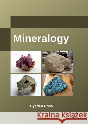 Mineralogy Cyaden Ross 9781635491852 Larsen and Keller Education - książka