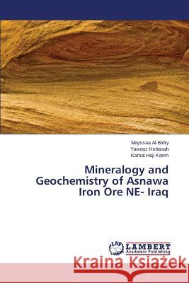 Mineralogy and Geochemistry of Asnawa Iron Ore NE- Iraq Al-Bidry Mayssaa, Kettanah Yawooz, Karim Kamal Haji 9783659794384 LAP Lambert Academic Publishing - książka