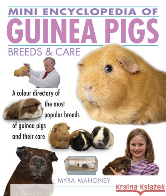 Mini Encyclopedia of Guinea Pigs Breeds and Care Myra Mahoney, Lyndon Nowell, Hillary Russell 9781842862261 Interpet Publishing - książka