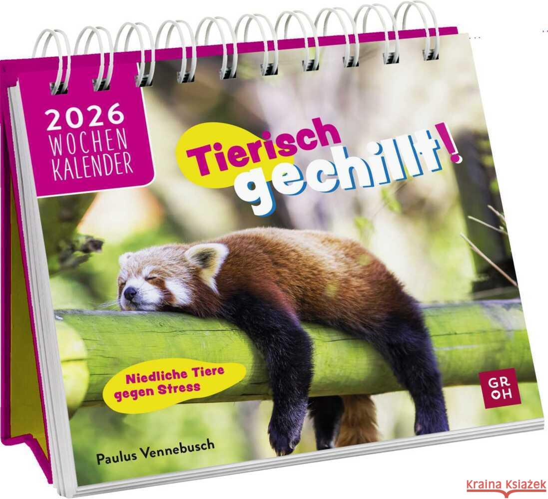 Mini-Wochenkalender 2026: Tierisch gechillt! Vennebusch, Paulus 4036442013380 Groh Verlag - książka