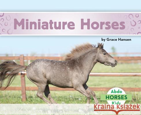 Miniature Horses Grace Hansen 9781680809282 Abdo Kids - książka