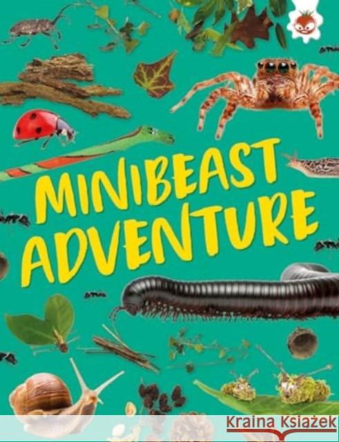 Minibeast Adventure: Unplug and get ready for some amazing outdoor adventures Emily Kington 9781835693568 Hungry Tomato Ltd - książka
