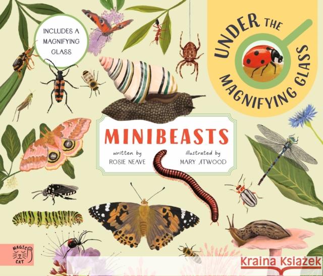 Minibeasts: Under the Magnifying Glass Rosie Neave 9781915569530 Magic Cat Publishing - książka
