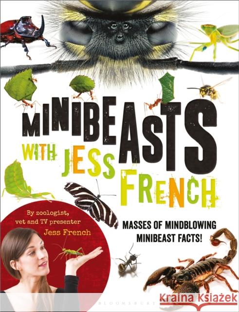 Minibeasts with Jess French: Masses of mindblowing minibeast facts! Jess French 9781472939555 Bloomsbury Publishing PLC - książka